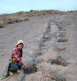 恐竜の足跡の谷