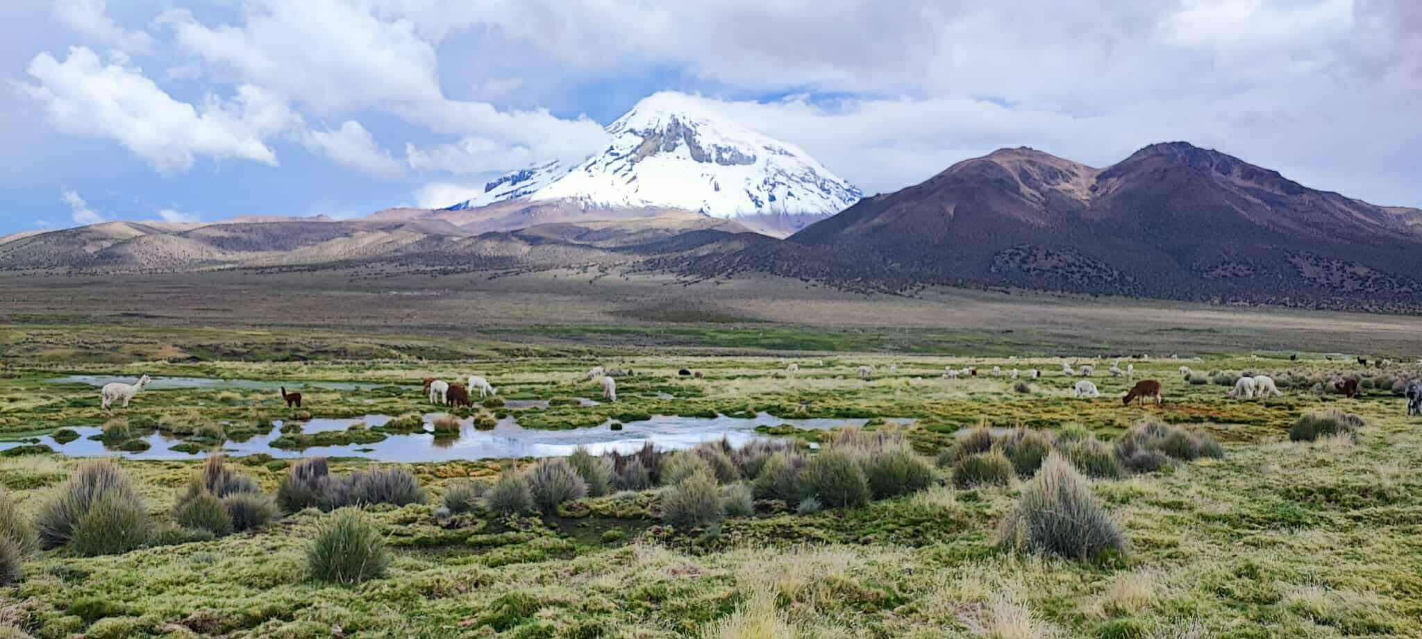 森山環境科学研究所