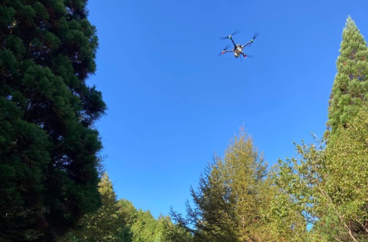 森林の中で上空のカビを集めるドローン