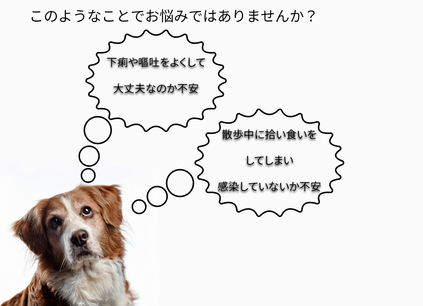 ペット検便でよくあるお困りごと
