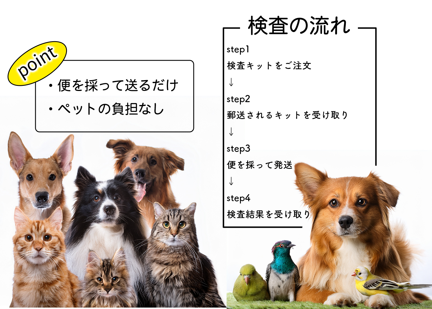 検査方法